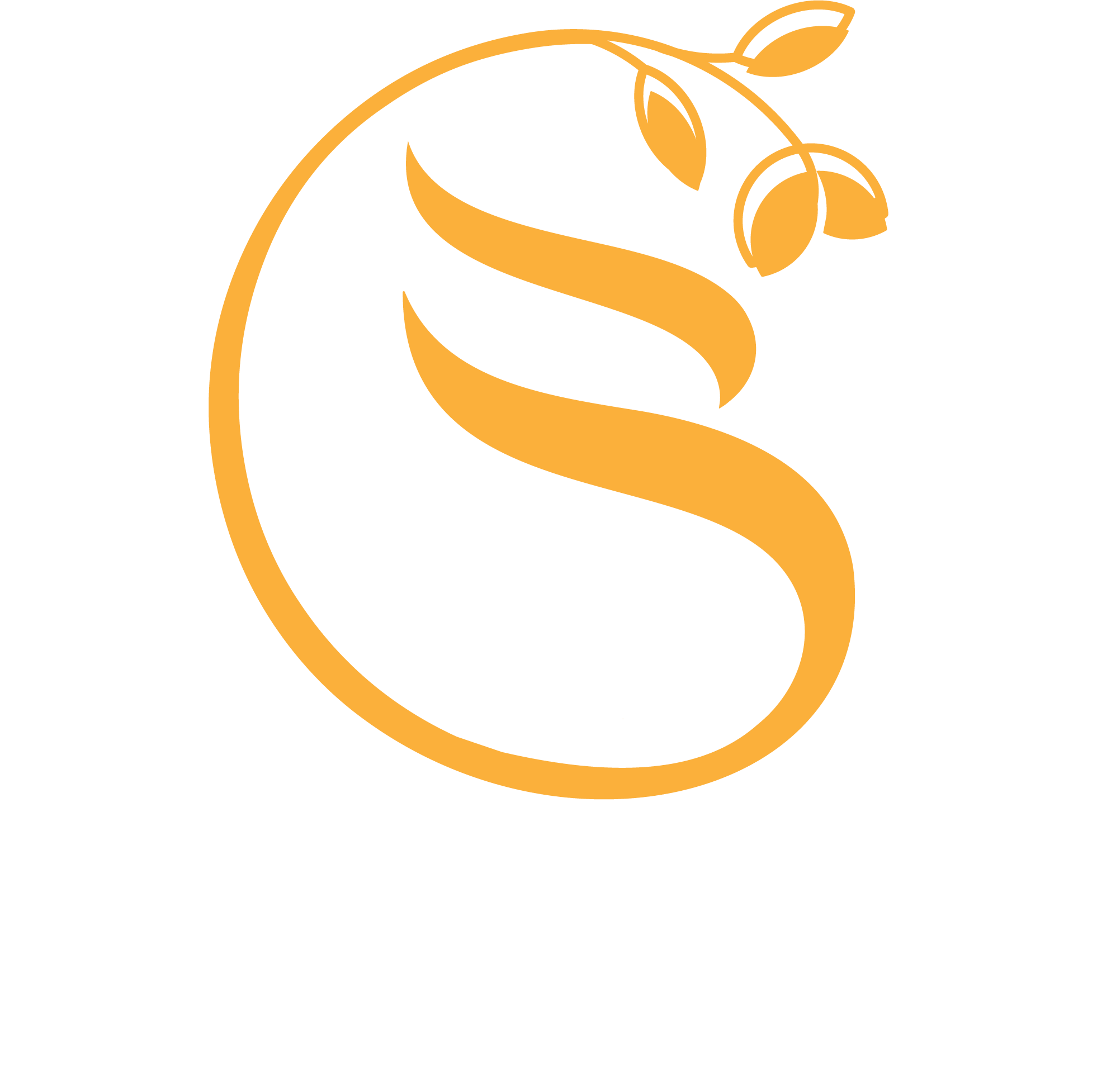 Cvijetic Studio logo